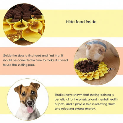 Snuffle Mat