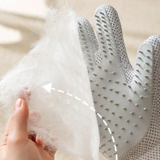 Grooming Glove