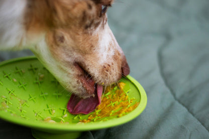 Lick Mat