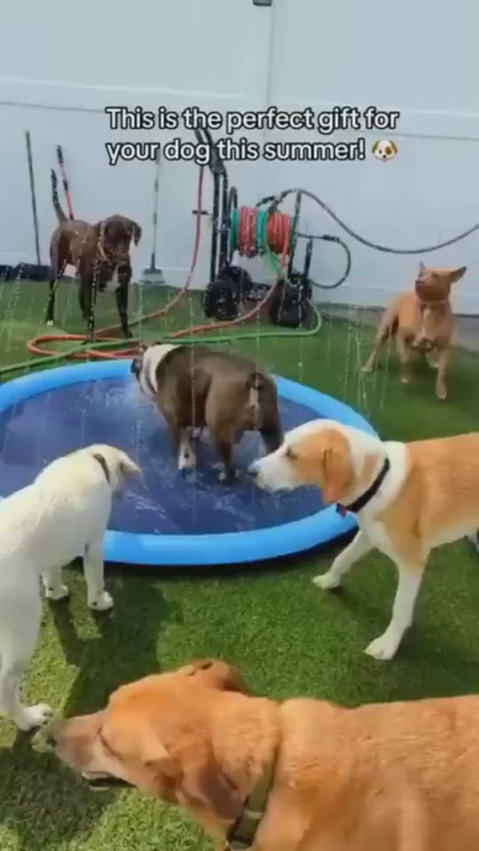 1.mp4